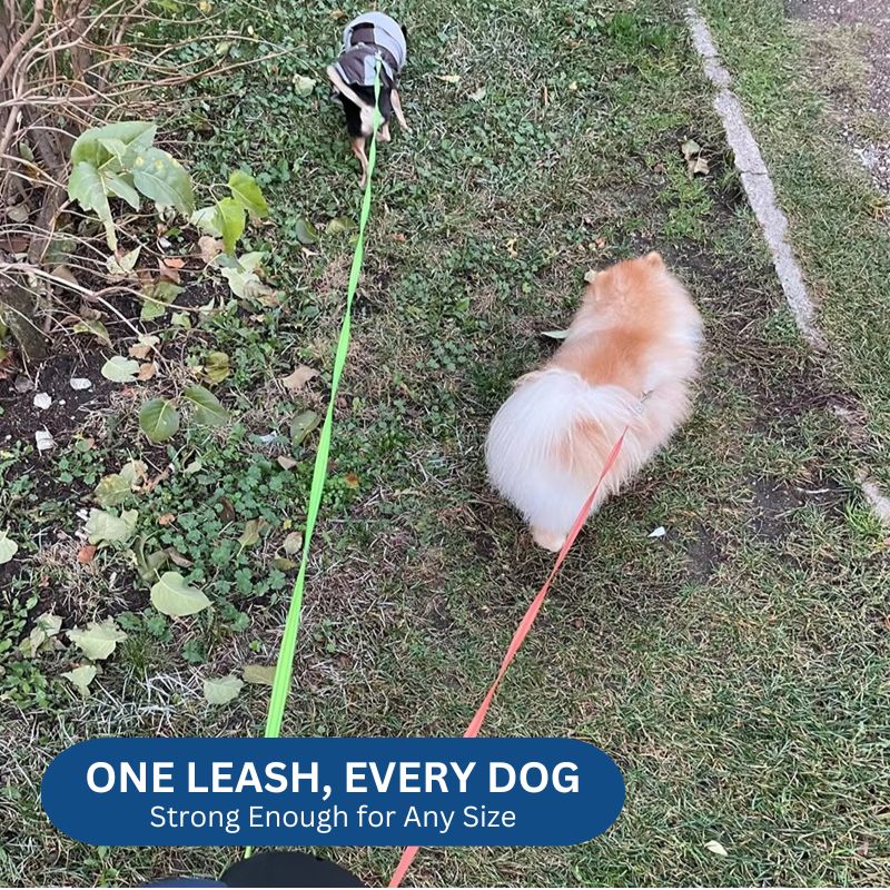10FT Dual Retractable Dog Leash with Built-In Flashlight and Waste Bag Holder