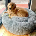 Calming Dog Bed