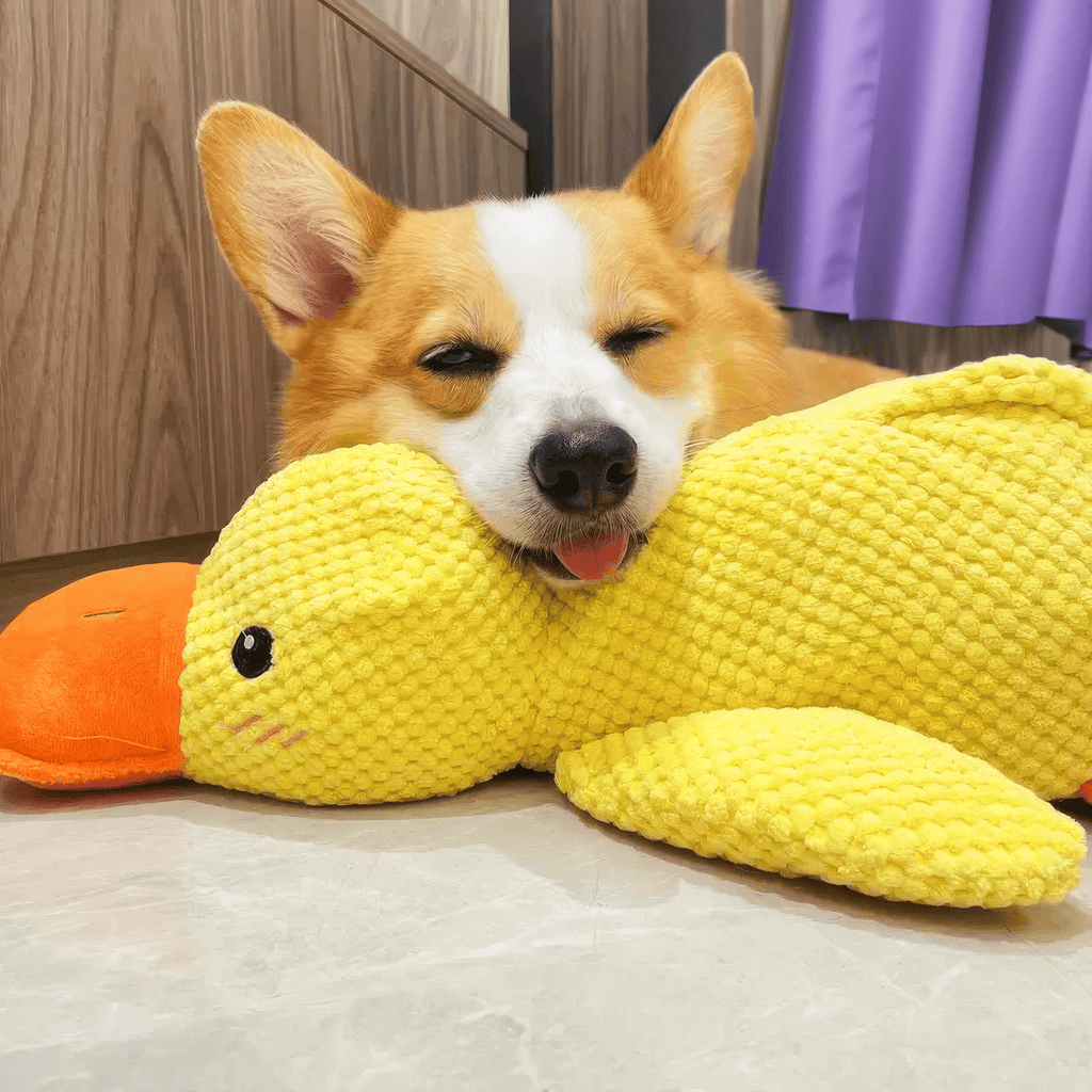Calming Durable Duck